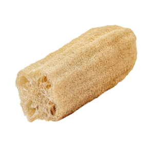 Pashtee Loofah